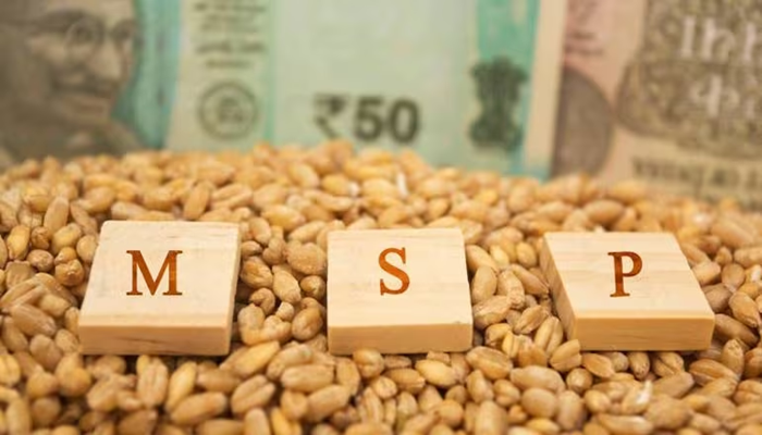 MSP